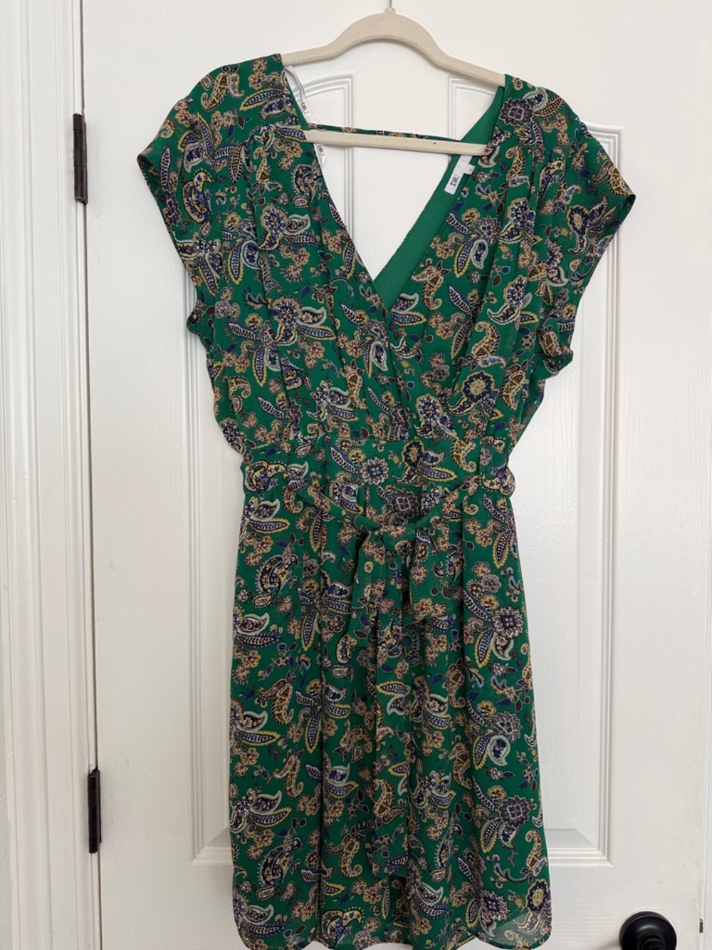 DR2 Green Paisley Dress with Navy & Gold Accents